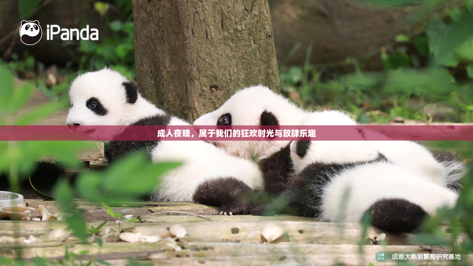 成人夜晚，属于我们的狂欢时光与放肆乐趣