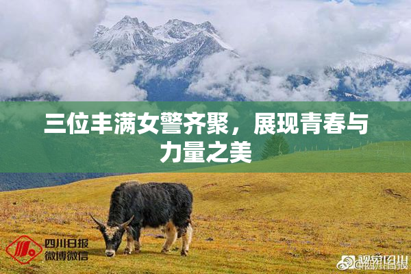 三位丰满女警齐聚，展现青春与力量之美