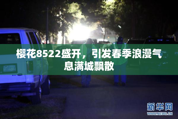 樱花8522盛开，引发春季浪漫气息满城飘散