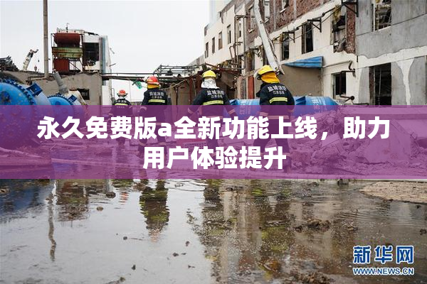 永久免费版a全新功能上线，助力用户体验提升
