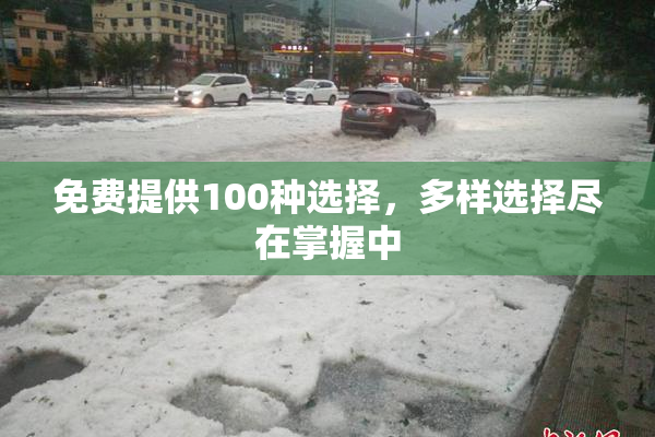 免费提供100种选择，多样选择尽在掌握中