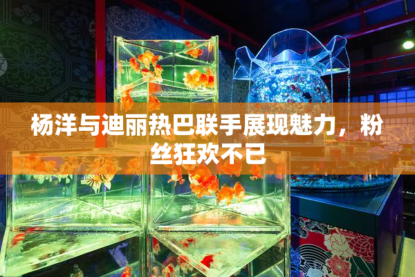 杨洋与迪丽热巴联手展现魅力，粉丝狂欢不已