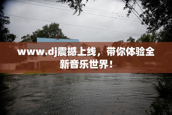 www.dj震撼上线，带你体验全新音乐世界！