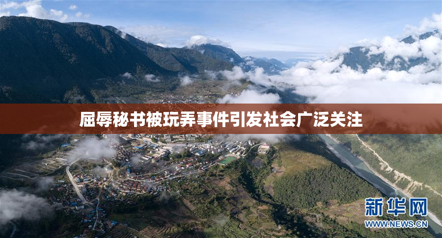 屈辱秘书被玩弄事件引发社会广泛关注