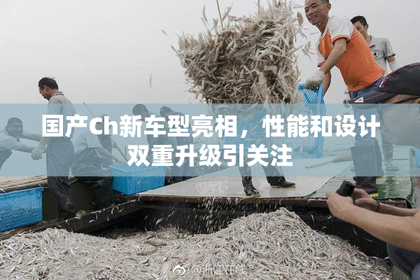 国产Ch新车型亮相，性能和设计双重升级引关注