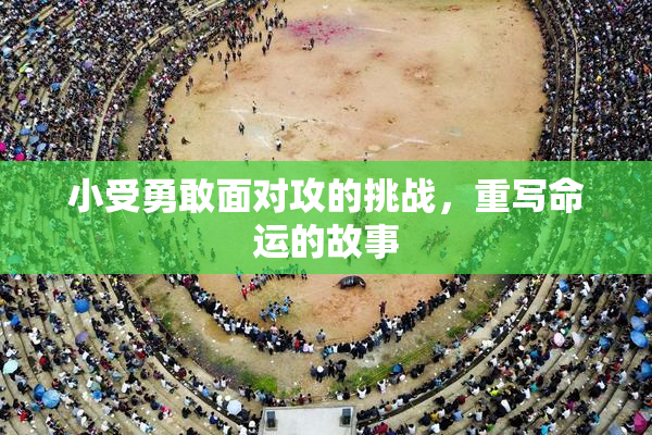 小受勇敢面对攻的挑战，重写命运的故事
