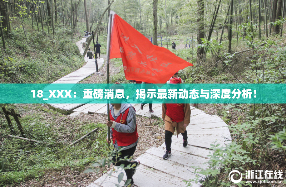 18_XXX：重磅消息，揭示最新动态与深度分析！