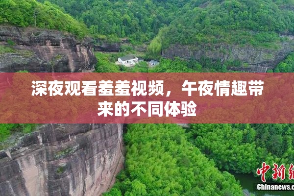 深夜观看羞羞视频，午夜情趣带来的不同体验