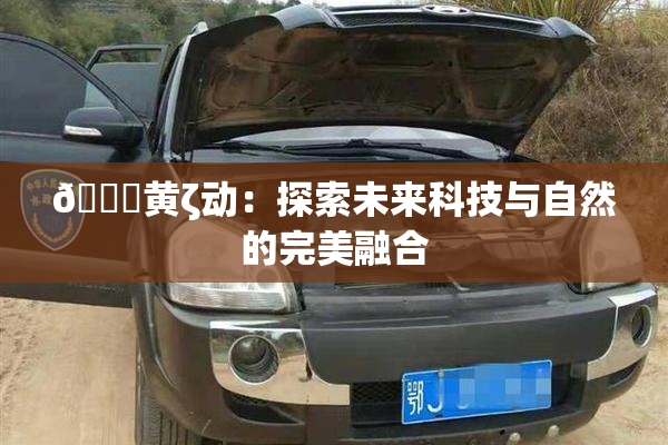 🔞黄ζ动：探索未来科技与自然的完美融合