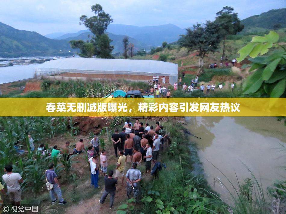 春菜无删减版曝光，精彩内容引发网友热议