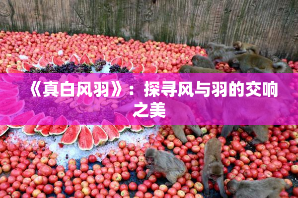 《真白风羽》：探寻风与羽的交响之美