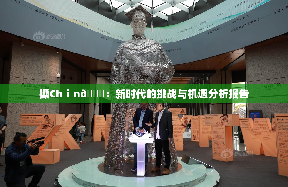 搡Chⅰn🈚：新时代的挑战与机遇分析报告