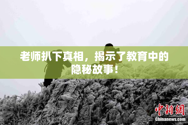 老师扒下真相，揭示了教育中的隐秘故事！