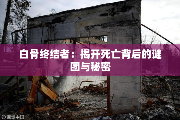 白骨终结者：揭开死亡背后的谜团与秘密