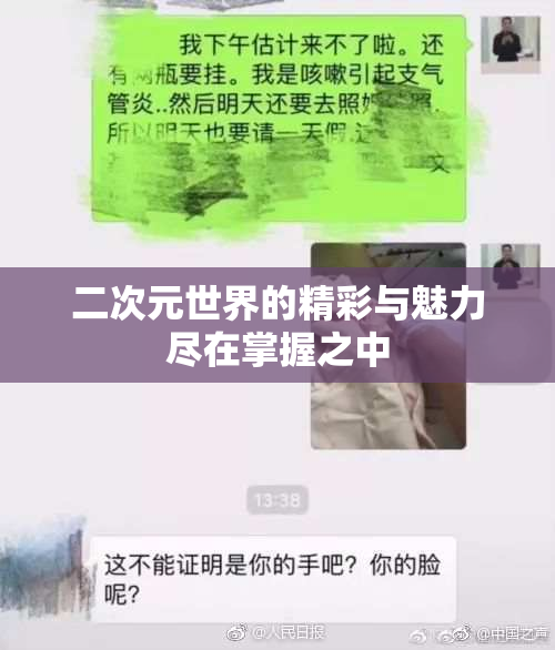 二次元世界的精彩与魅力尽在掌握之中