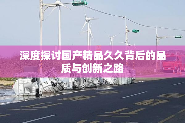 深度探讨国产精品久久背后的品质与创新之路