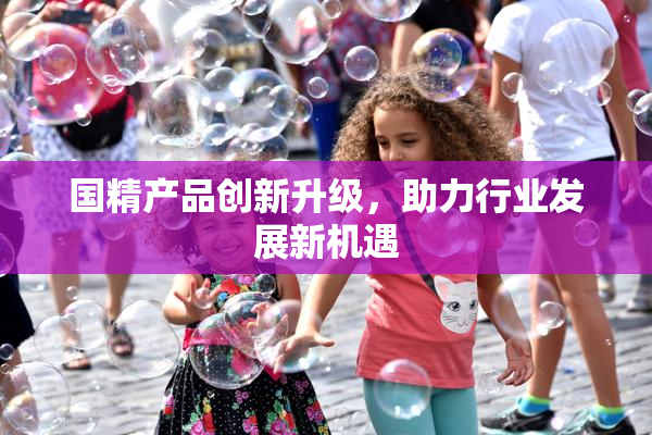 国精产品创新升级，助力行业发展新机遇