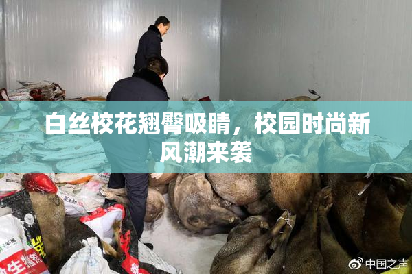白丝校花翘臀吸睛，校园时尚新风潮来袭