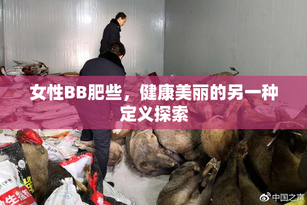 女性BB肥些，健康美丽的另一种定义探索