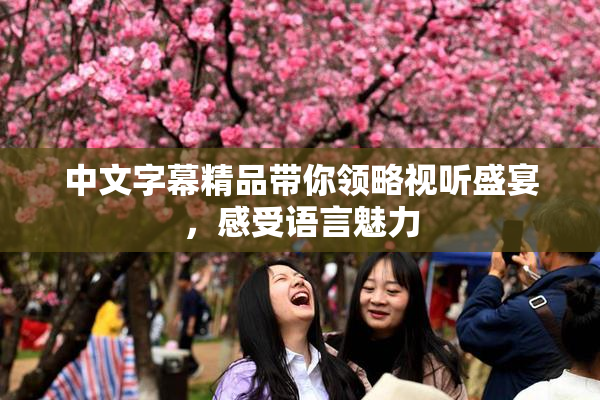 中文字幕精品带你领略视听盛宴，感受语言魅力
