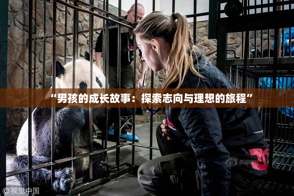 “男孩的成长故事：探索志向与理想的旅程”