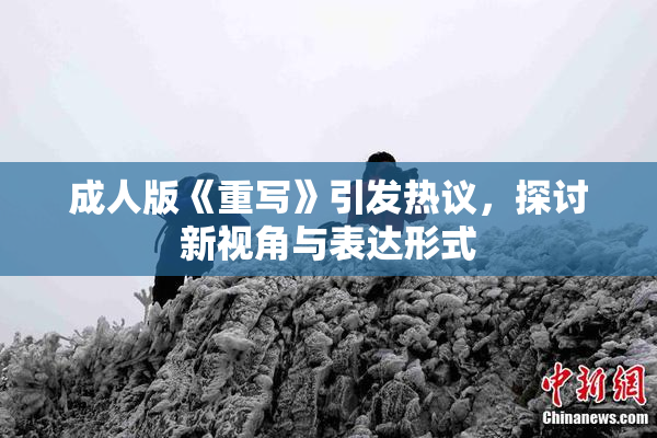 成人版《重写》引发热议，探讨新视角与表达形式