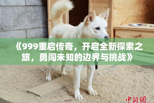 《999重启传奇，开启全新探索之旅，勇闯未知的边界与挑战》