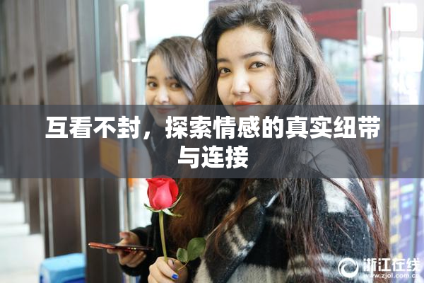 互看不封，探索情感的真实纽带与连接