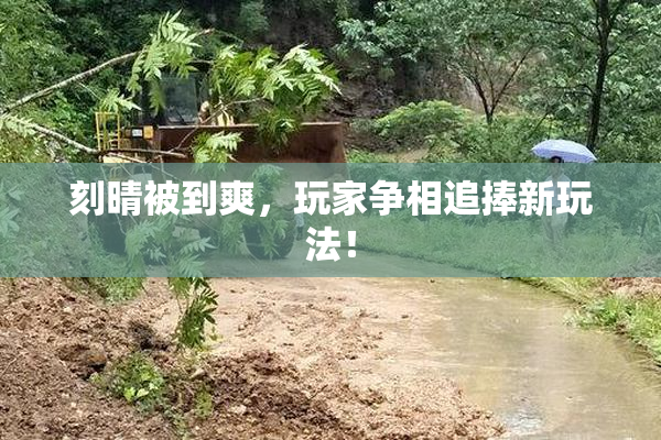 刻晴被到爽，玩家争相追捧新玩法！