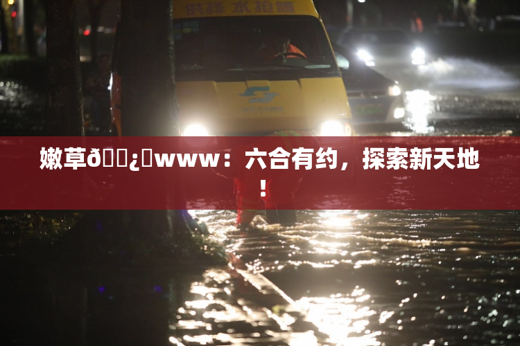 嫩草🌿‌www：六合有约，探索新天地！