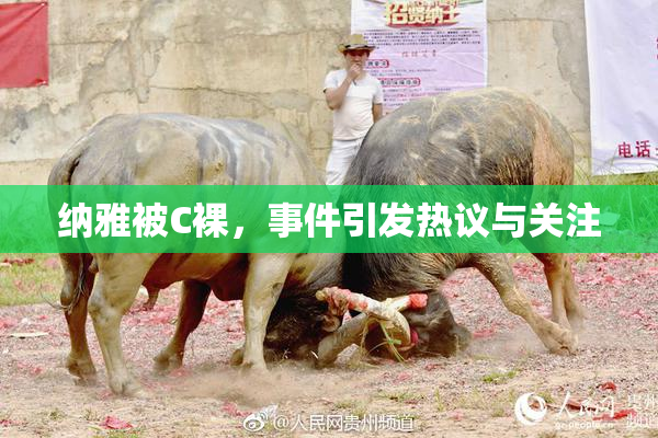 纳雅被C裸，事件引发热议与关注