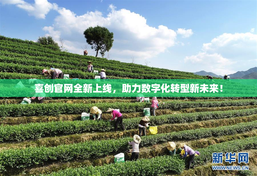 喜创官网全新上线，助力数字化转型新未来！