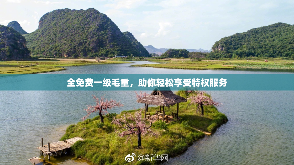 全免费一级毛重，助你轻松享受特权服务