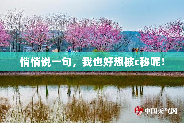 悄悄说一句，我也好想被c秘呢！