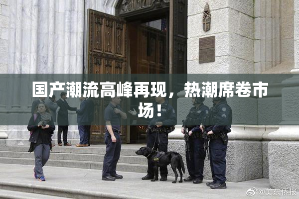 国产潮流高峰再现，热潮席卷市场！