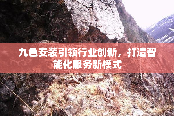 九色安装引领行业创新，打造智能化服务新模式