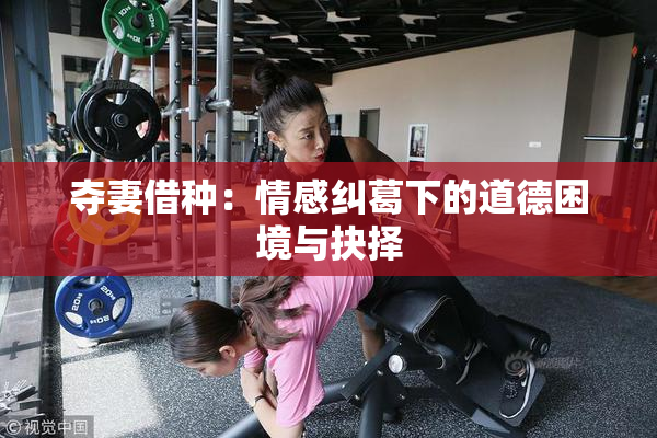 夺妻借种：情感纠葛下的道德困境与抉择