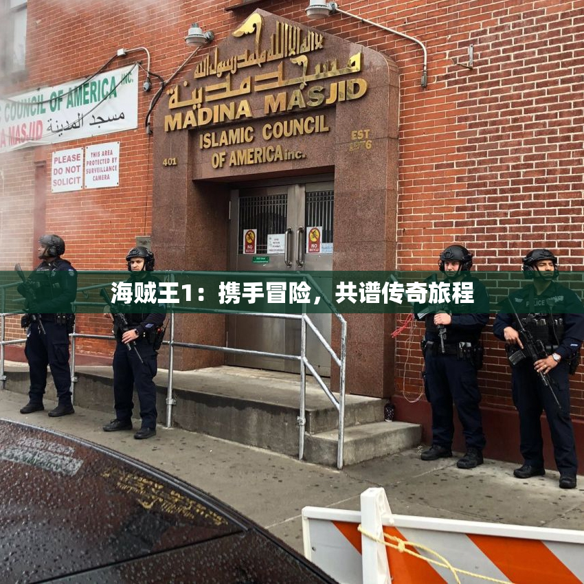 海贼王1：携手冒险，共谱传奇旅程