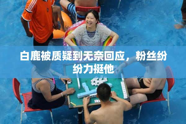 白鹿被质疑到无奈回应，粉丝纷纷力挺他