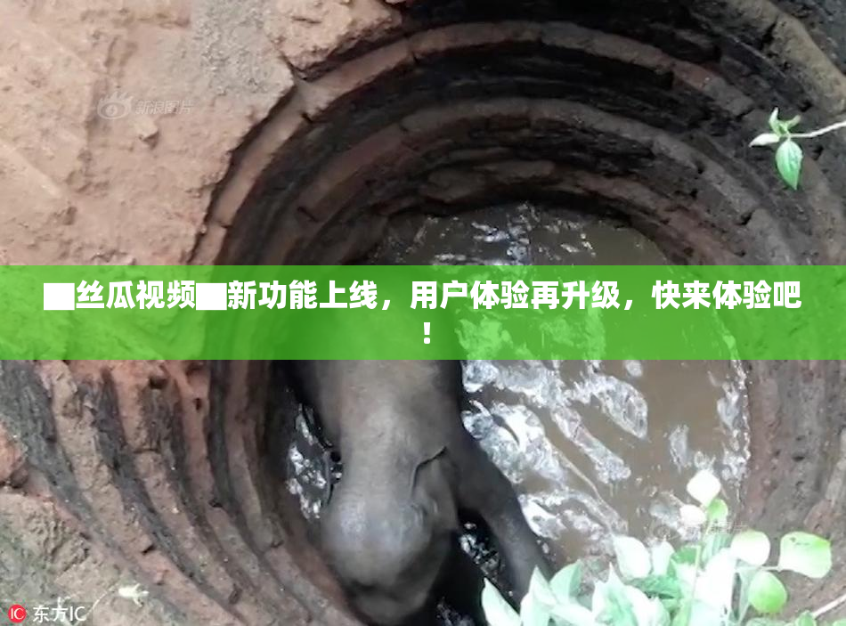 ▇丝瓜视频▇新功能上线，用户体验再升级，快来体验吧！