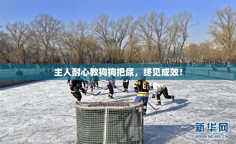 主人耐心教狗狗把尿，终见成效！