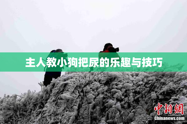 主人教小狗把尿的乐趣与技巧
