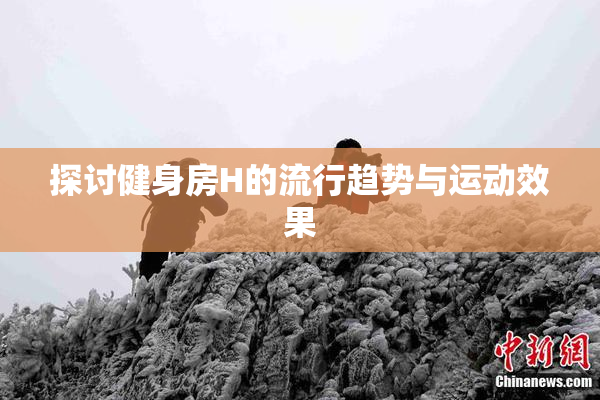 探讨健身房H的流行趋势与运动效果