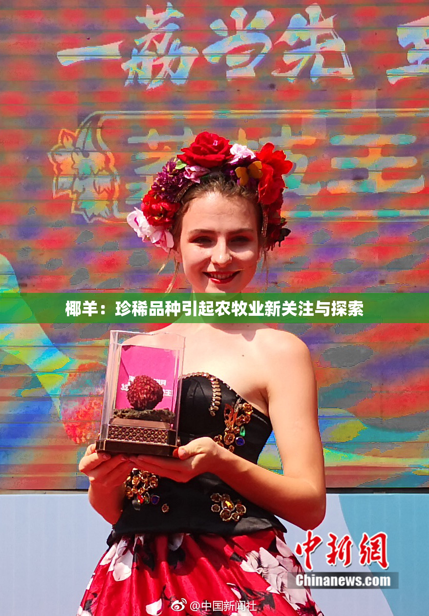椰羊：珍稀品种引起农牧业新关注与探索
