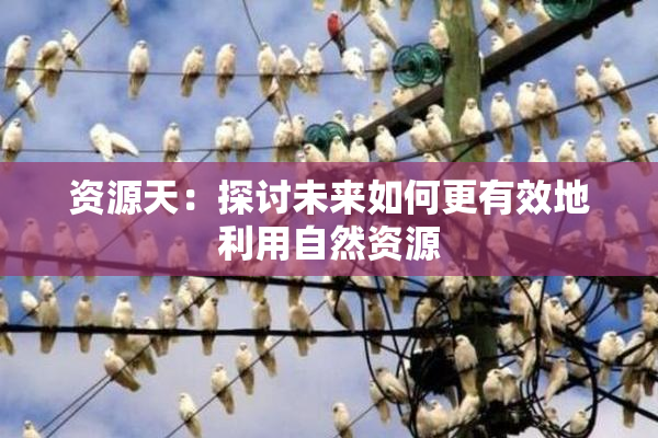 资源天：探讨未来如何更有效地利用自然资源