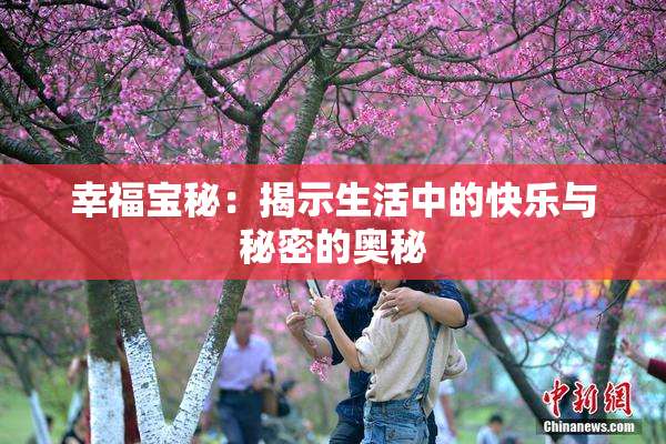 幸福宝秘：揭示生活中的快乐与秘密的奥秘