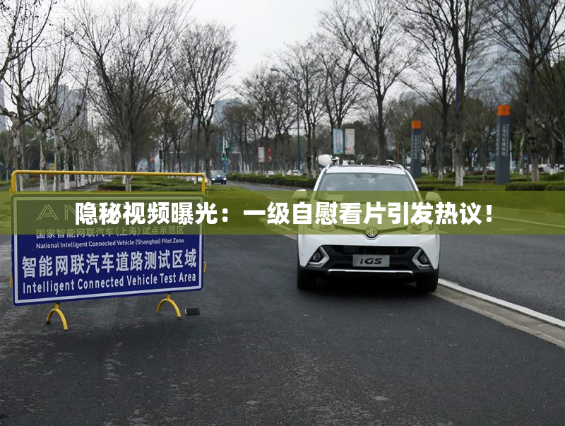隐秘视频曝光：一级自慰看片引发热议！