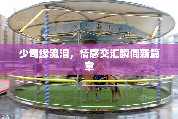 少司缘流泪，情感交汇瞬间新篇章