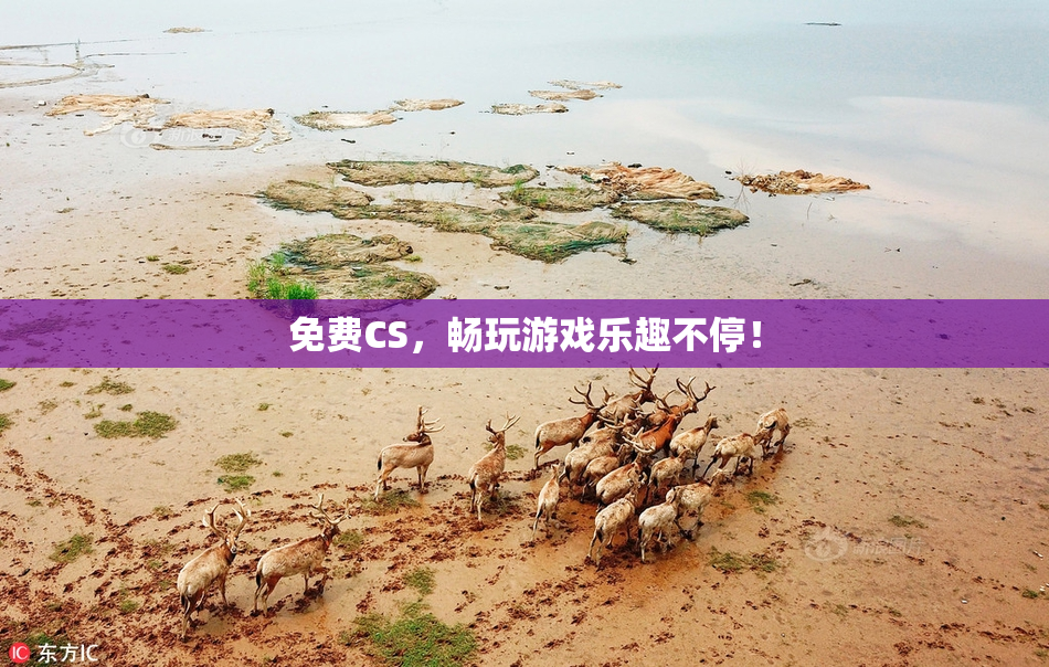 免费CS，畅玩游戏乐趣不停！