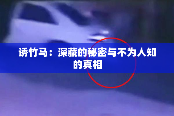 诱竹马：深藏的秘密与不为人知的真相